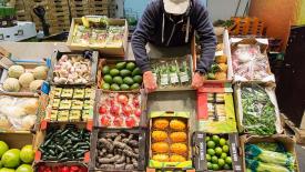 Россельхознадзор ограничит ввоз новой растительной продукции из Армении